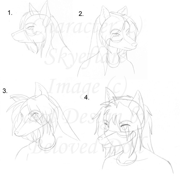 Skye Sketches
